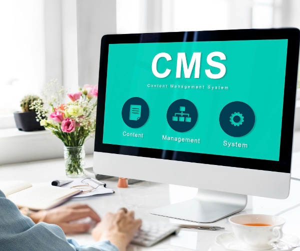Content Management System (CMS)
