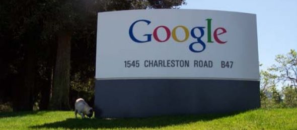 Google own 200 Goats